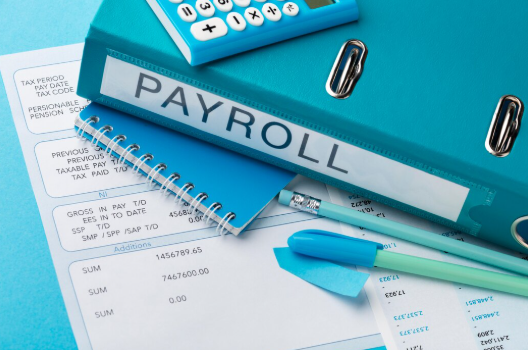 Read more about the article How Payroll Software Simplifies Employee Salary Management